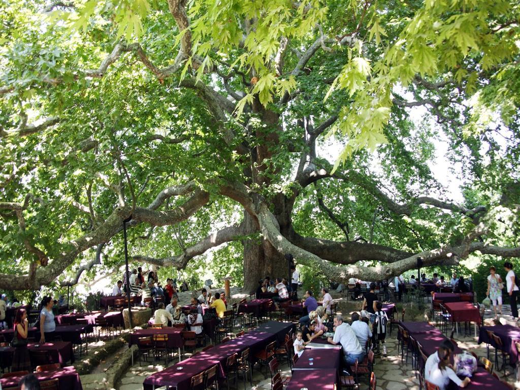 בורסה Onuncukoy Hotel (Adults Only) מראה חיצוני תמונה